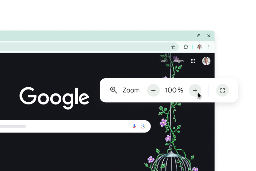 La page d'accueil Google et un pop-up avec le zoom défini sur 100 %.